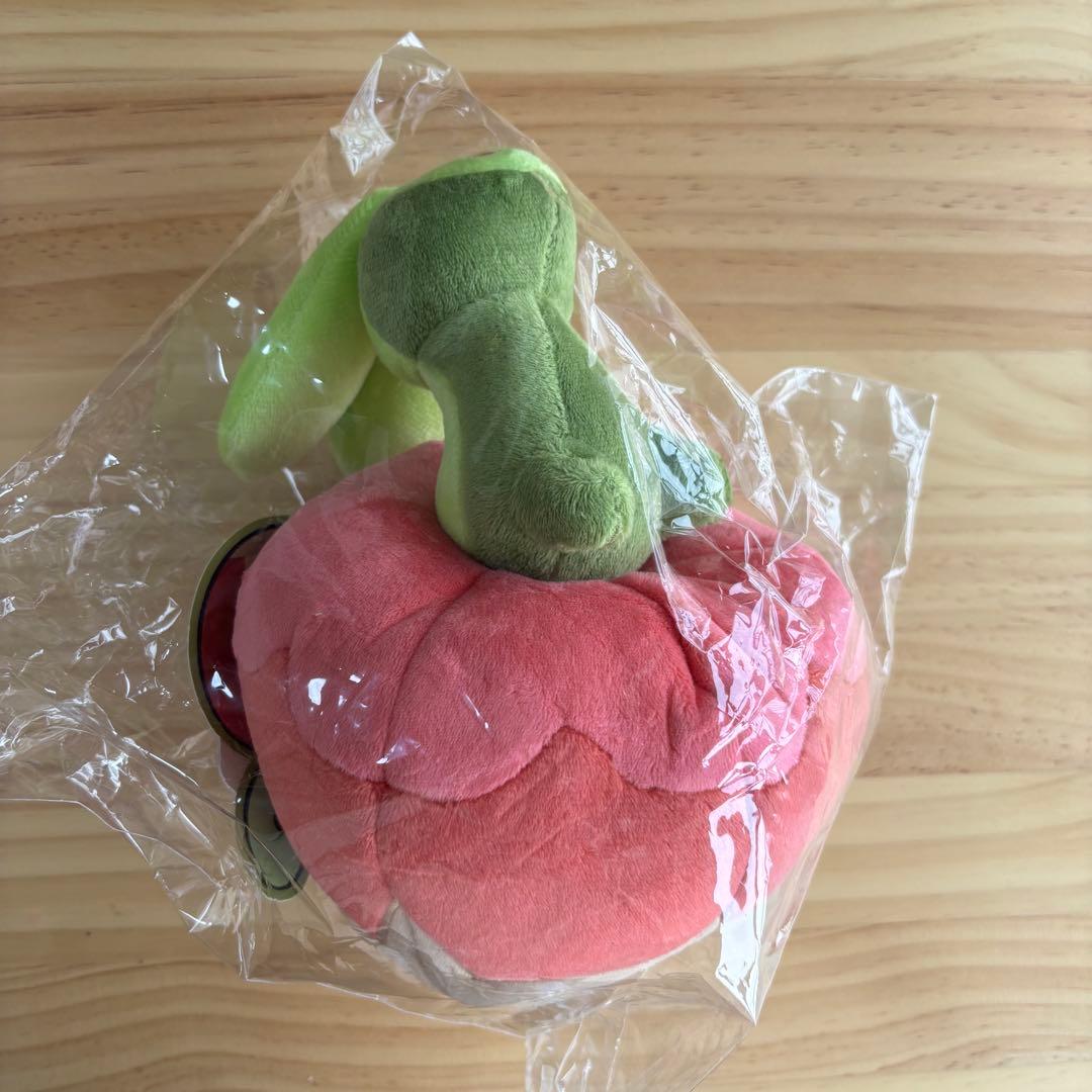 ポケモン 海外限定 カジッチュ 等身大ぬいぐるみ 果然一派