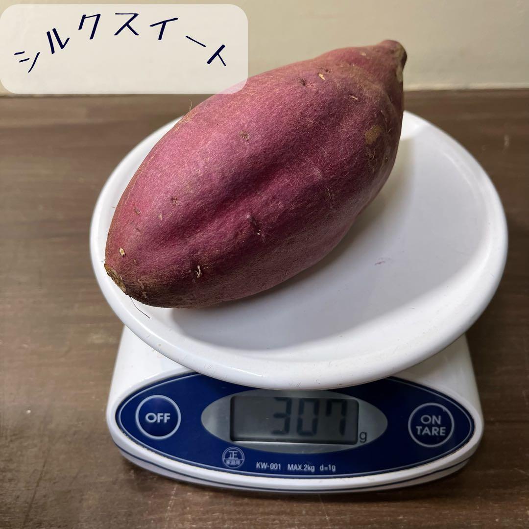 シルクスイート Lサイズ 20kg 千葉県産