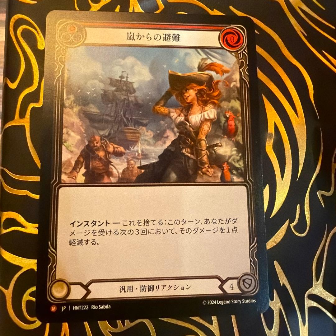 FAB 嵐からの避難/Shelter from the Storm NF