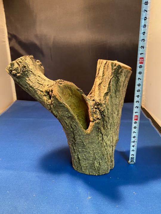 流木・朽ち木【アクアリウム】【テラリウム】【止まり木】