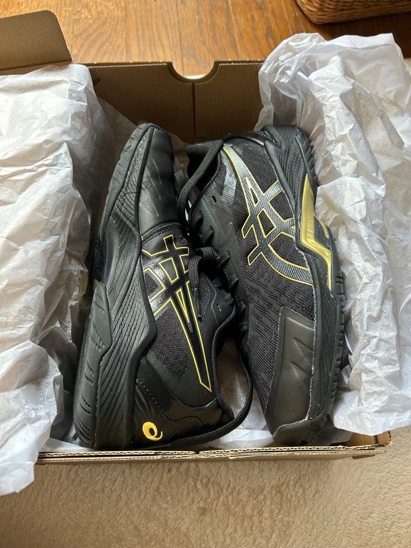 【アシックス】25cm V-SWIFT FF 3 LO エクストラワイド