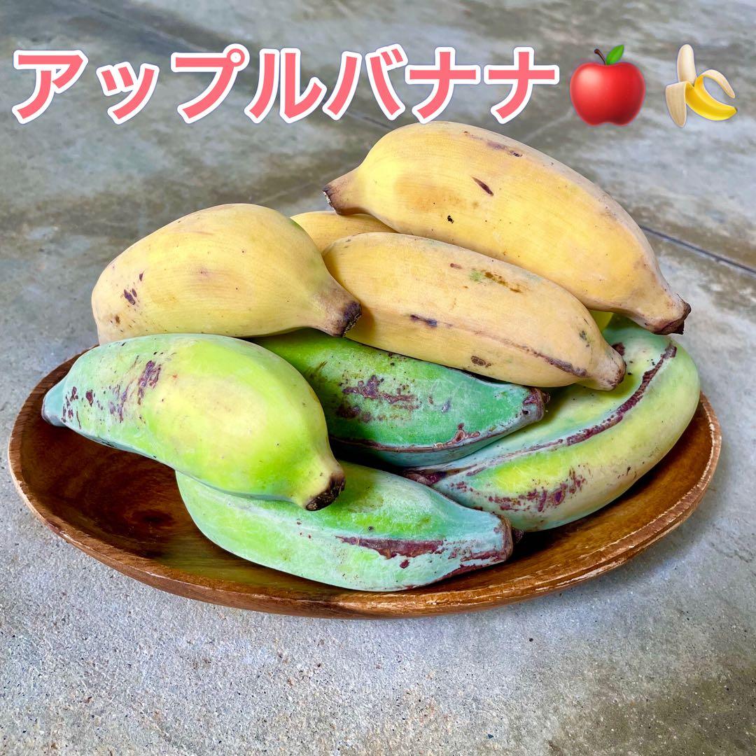 スターフルーツアップルバナナ専用　kako様