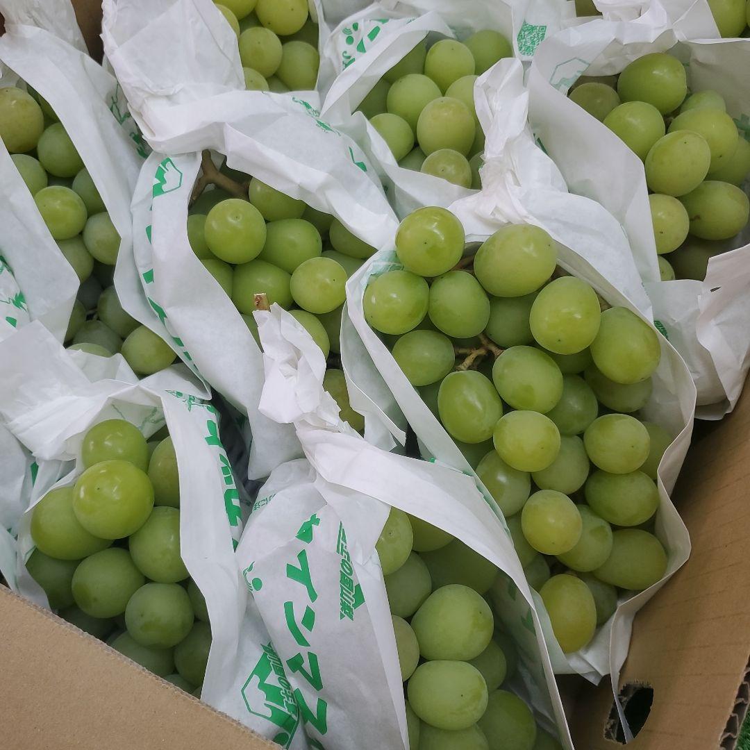 6️⃣ 山梨県産 シャインマスカット １２房入り 箱込み5.6キロ