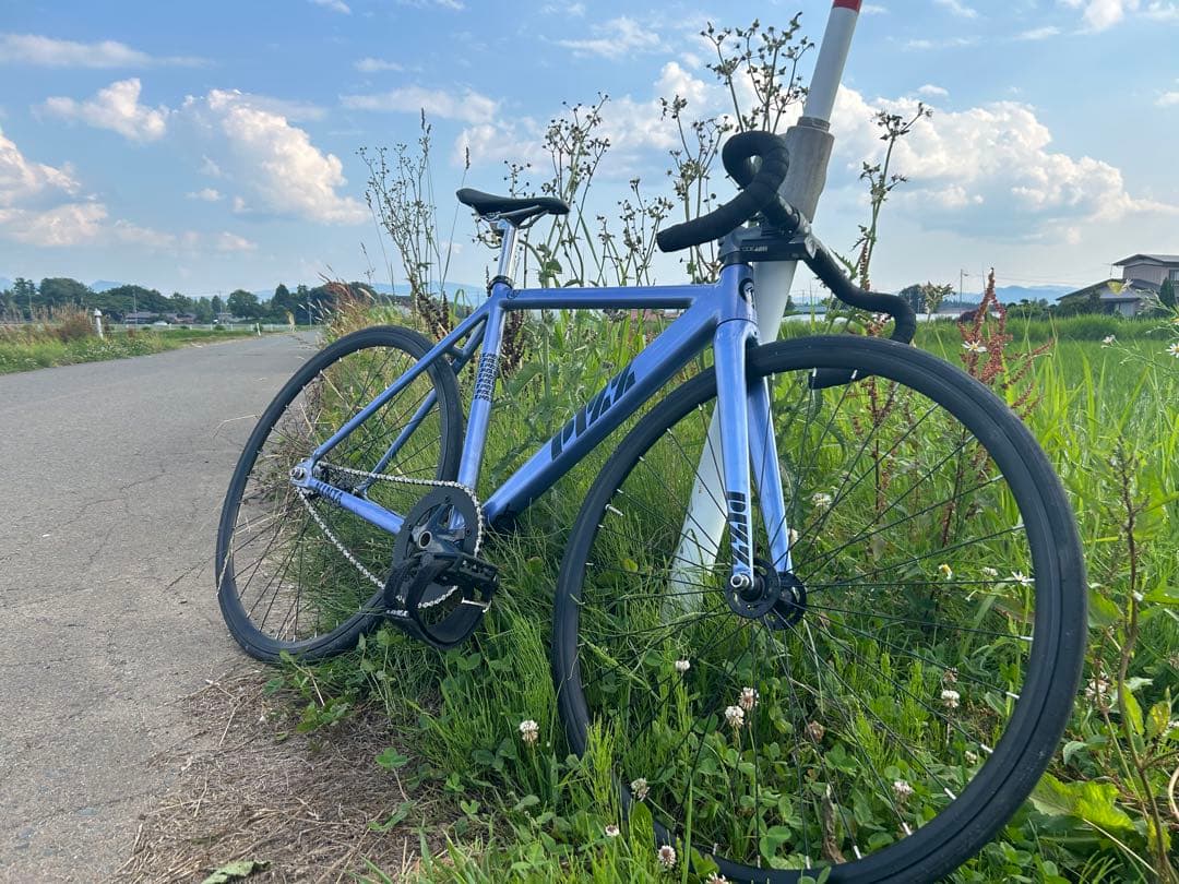 アルミ製シングルギアピストバイク フレームセット、ホイール、クランク以外