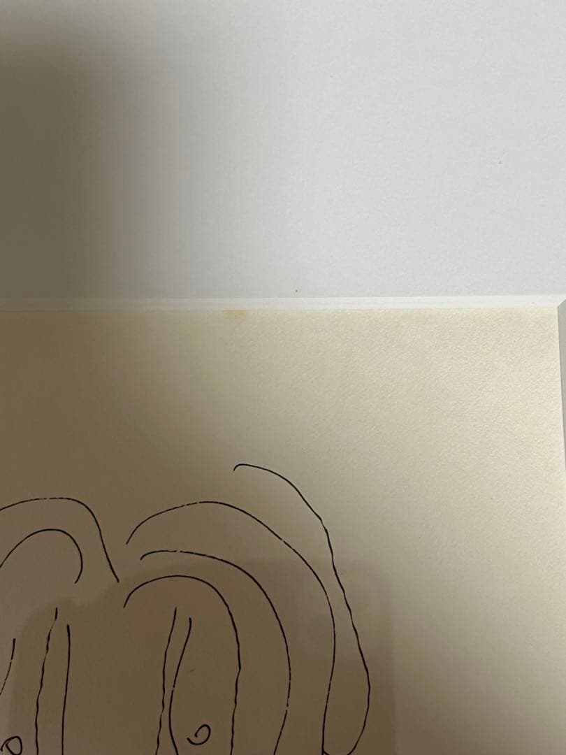 池田満寿夫 挿絵 フレーム付き