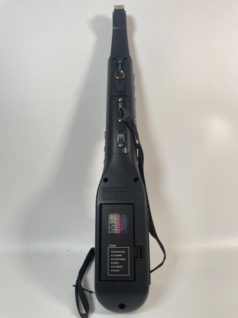 CASIO デジタルホーン DH-800 ケース付き #632-1