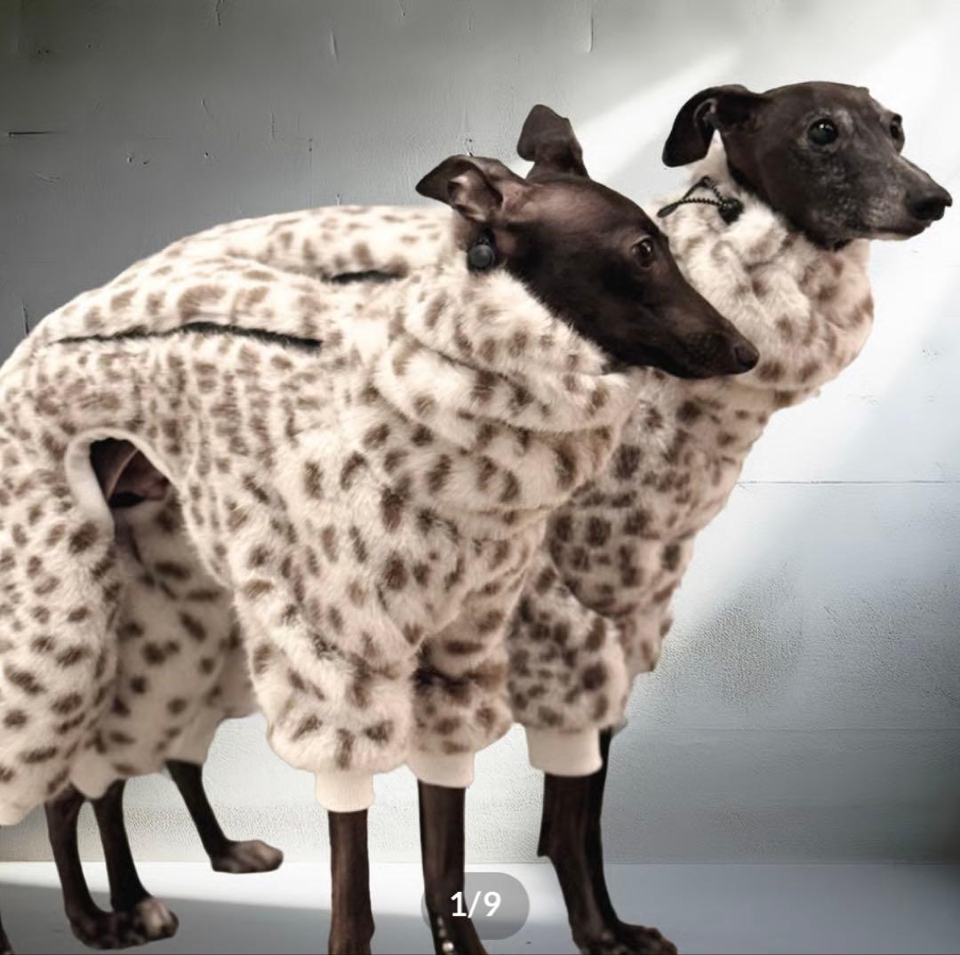 USHH 服 ロンパース イタグレ