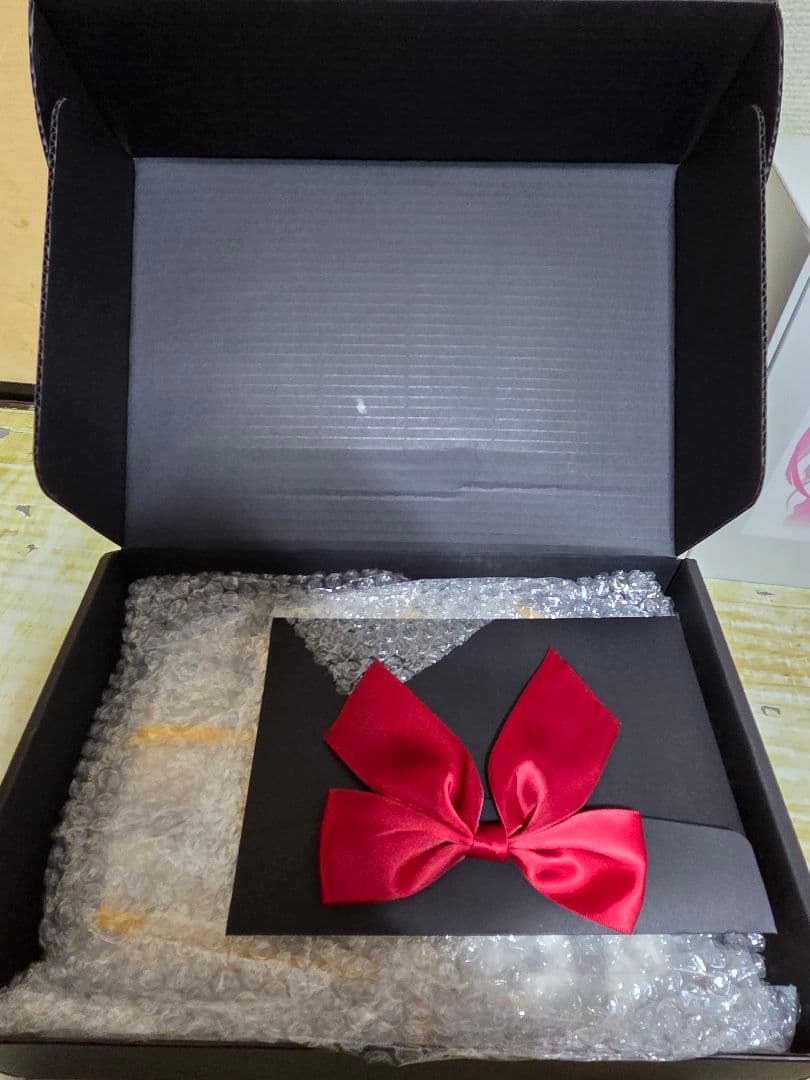 ワンフェス2025　魔法少女まどか☆マギカ　ガレージキット2体セット　未塗装品