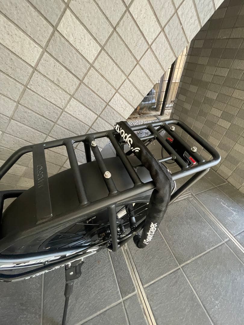 折りたたみ電動アシスト自転車