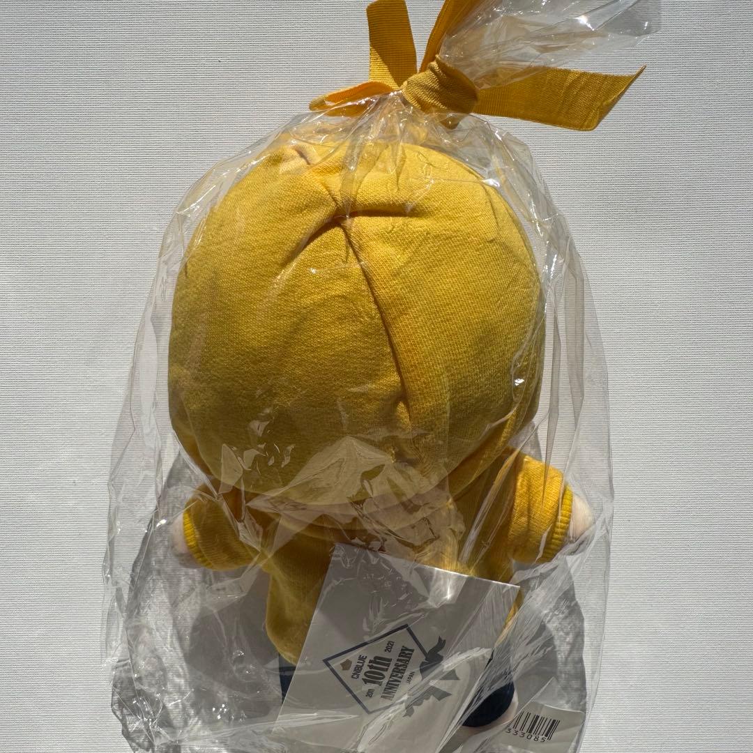 CNBLUE 10th anniversary ヨンファ ミンヒョク ジョンシン