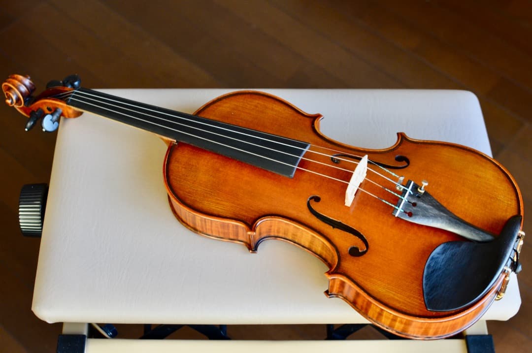 【極上響音】GLIGA VASILE gama 4/4