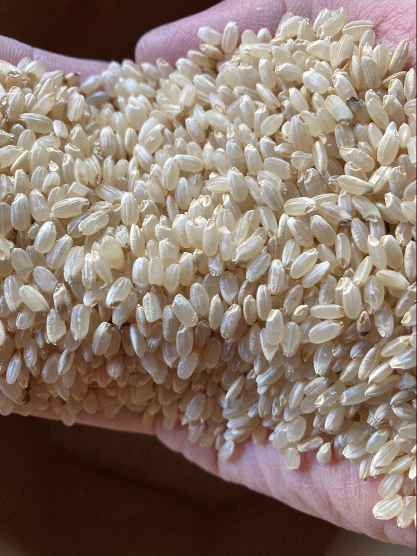 【送料別】令和7年栃木県佐野市産ゆうだい21玄米30kg