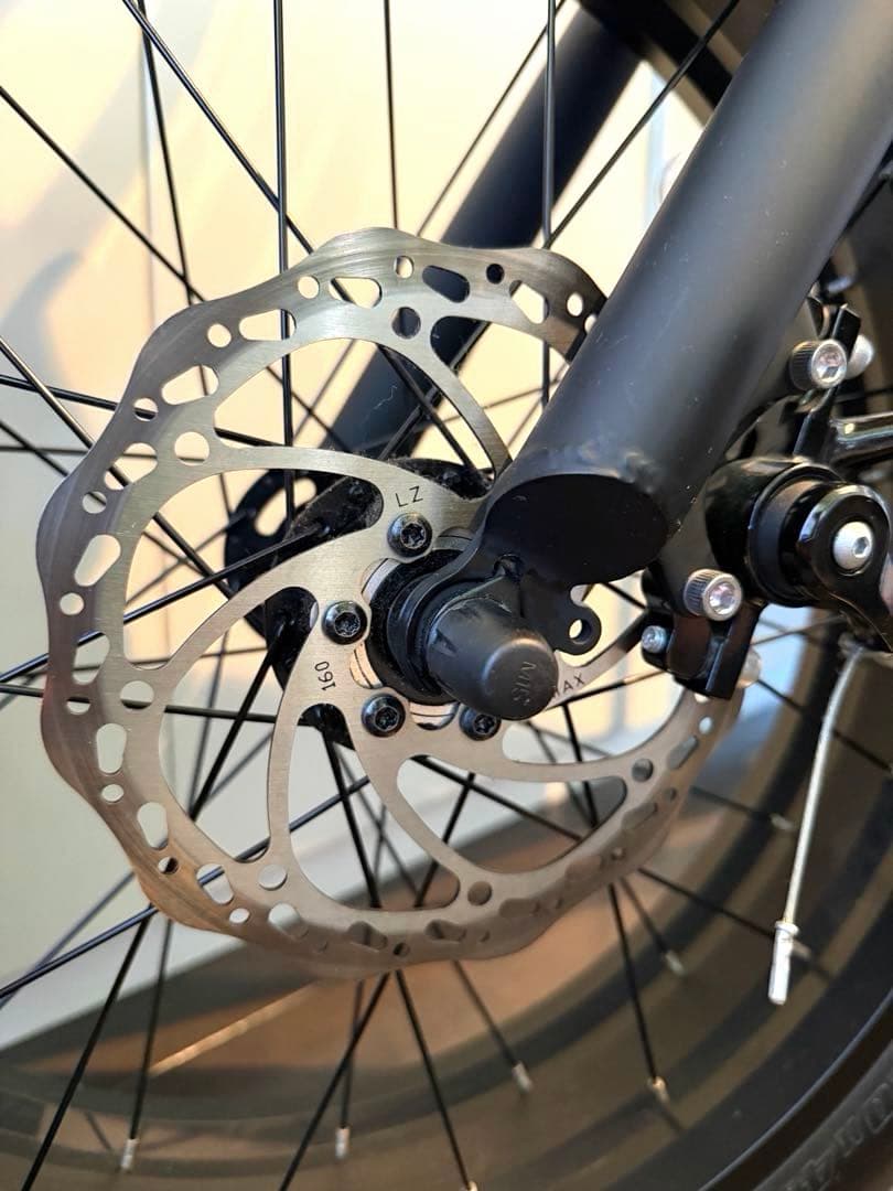 BRONX20 ファットバイク CUSTOM マットブラック　完全室内保管