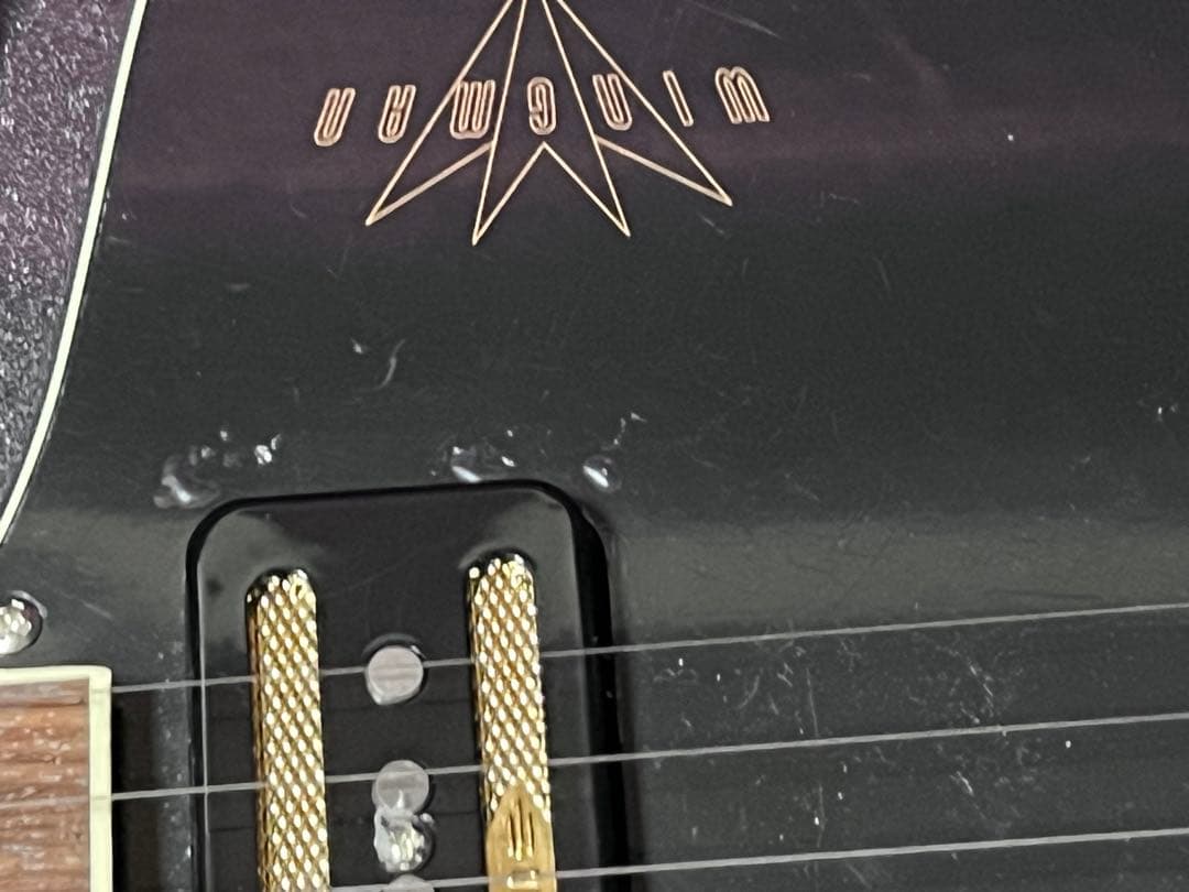 Baum Guitars Wingman Dark Moon ハードケース付き