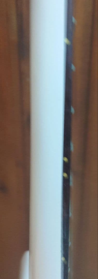 Epiphone　SG改　SG ジュニア