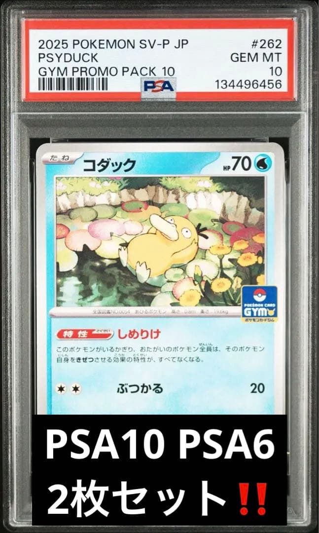 2025 ポケモン コダック GYM PROMO PSA10、6二枚セット鑑定品