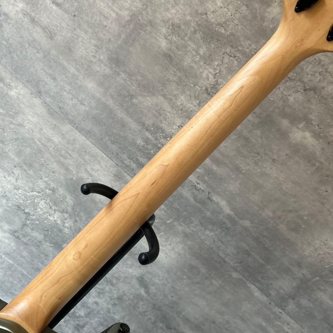 Fernandes APG-65S サスティナー搭載