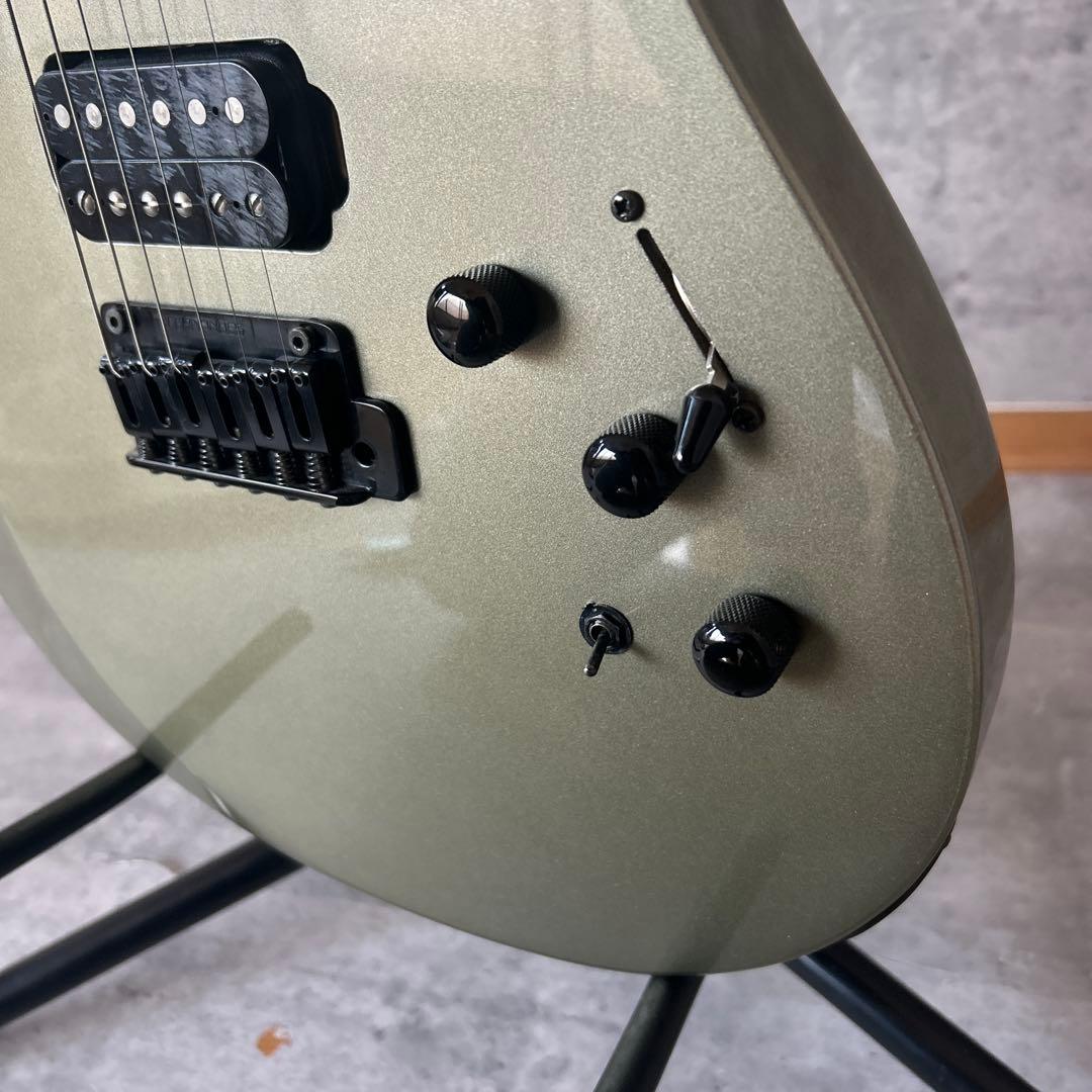 Fernandes APG-65S サスティナー搭載