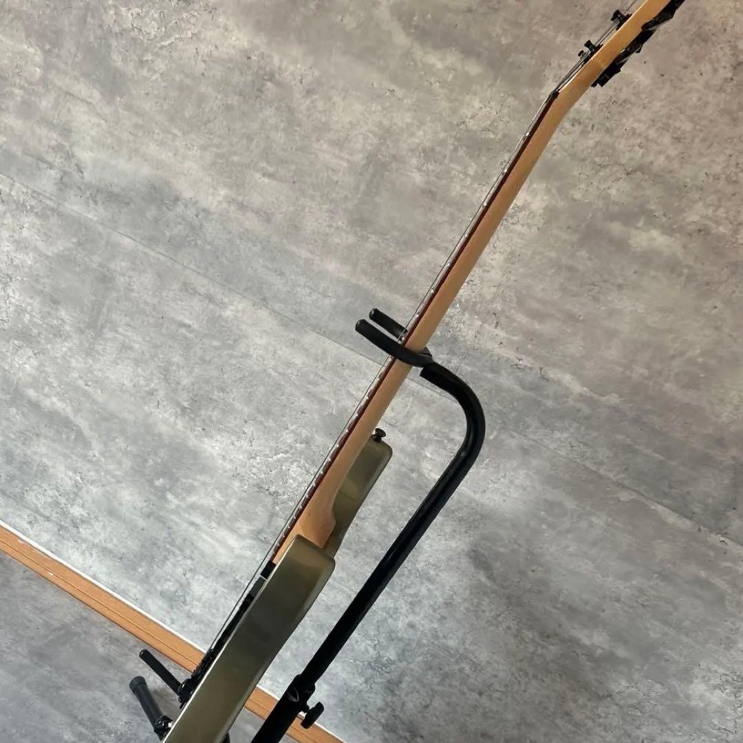 Fernandes APG-65S サスティナー搭載