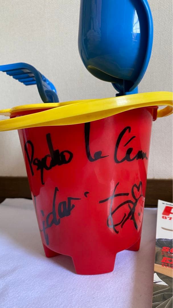 当選品】Lida AYA サイン入り　撮影使用　サイコルシェイム