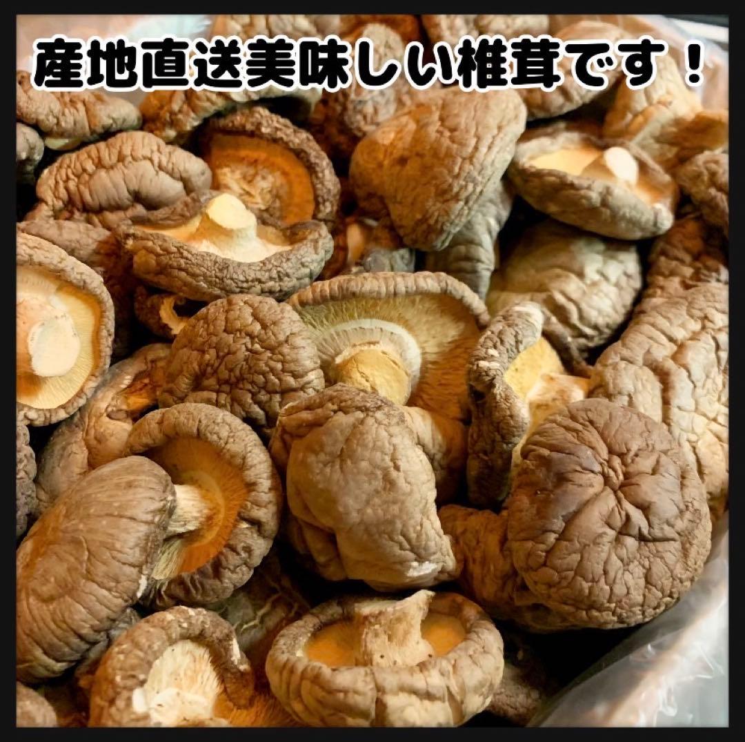 【産地直送】 乾燥椎茸　2kg 業務用　しいたけ　岩手県産　東北の味　どんこ椎茸