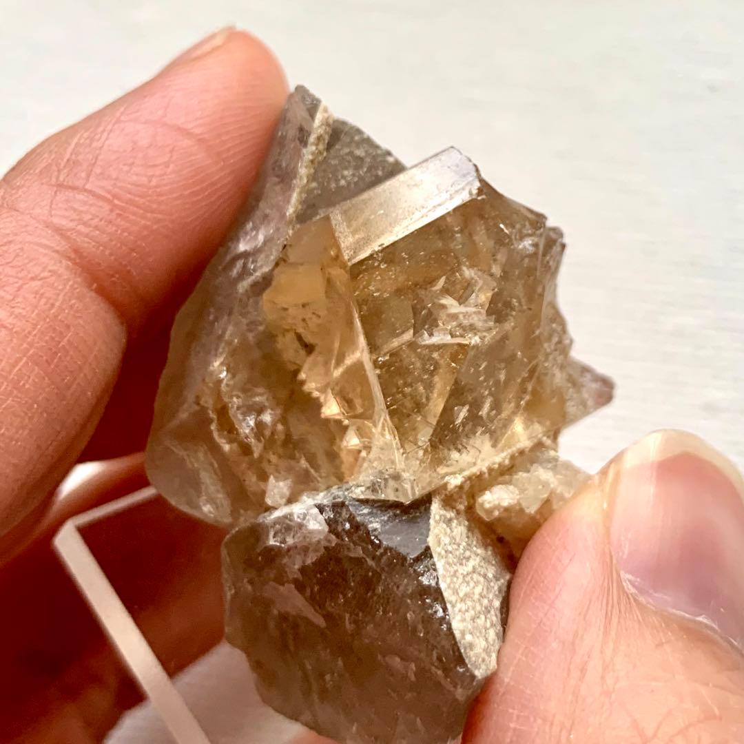 特価！ハニーカラートパーズ原石/スモーキークォーツと共生/鉱物標本