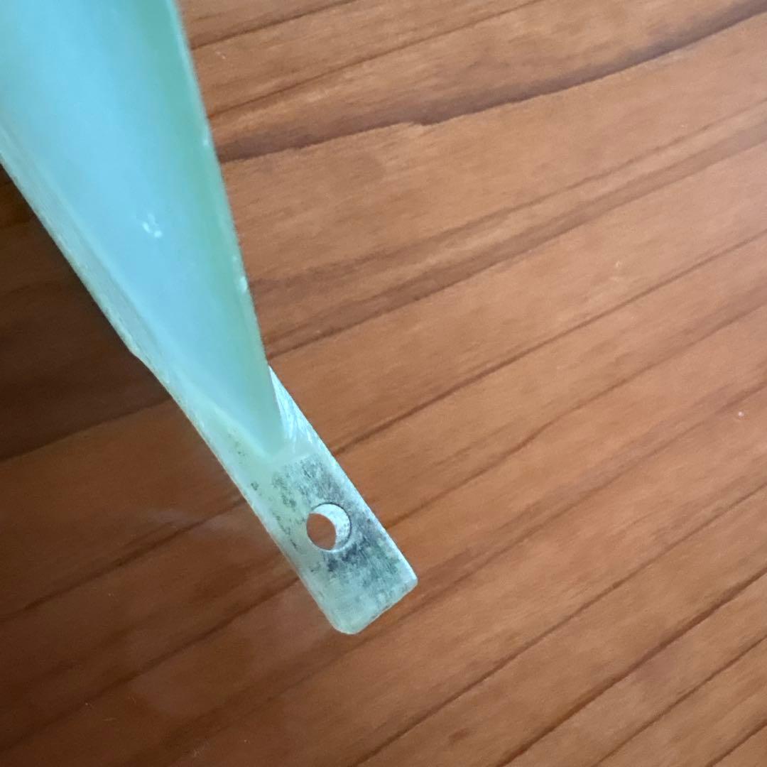 TRUE AMES Skip Frye 9.25 スキップフライフィン