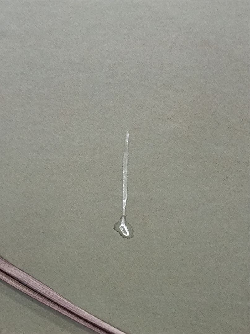 八3104【中古品】 徐悲鴻　奔馬圖 複製画　昭和六十三年十二月二十日発行