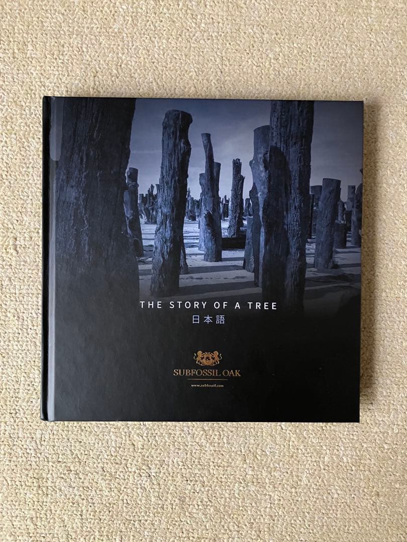 大阪関西万博　チェコパビリオン　非売品　文明の森写真集