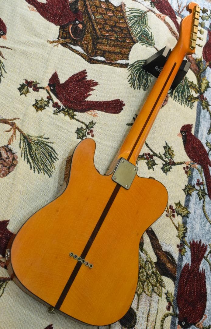 ギター Bill's Brothers EXCELLENT MAD CAT