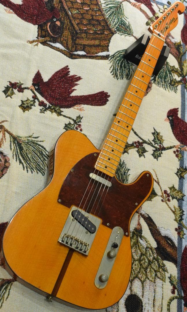 ギター Bill's Brothers EXCELLENT MAD CAT