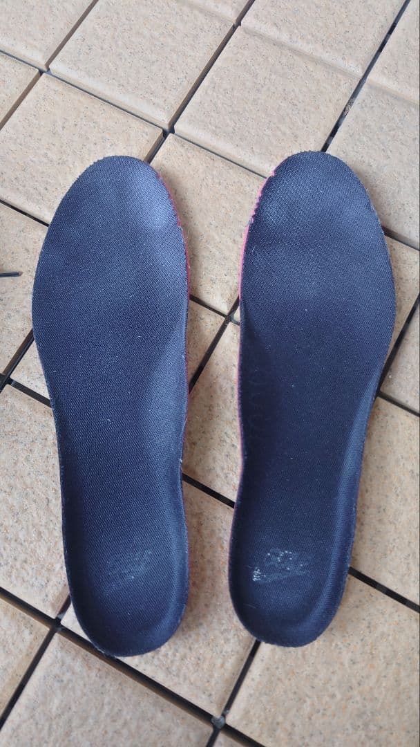 シューズ(男性用) Nike Air Max 90G