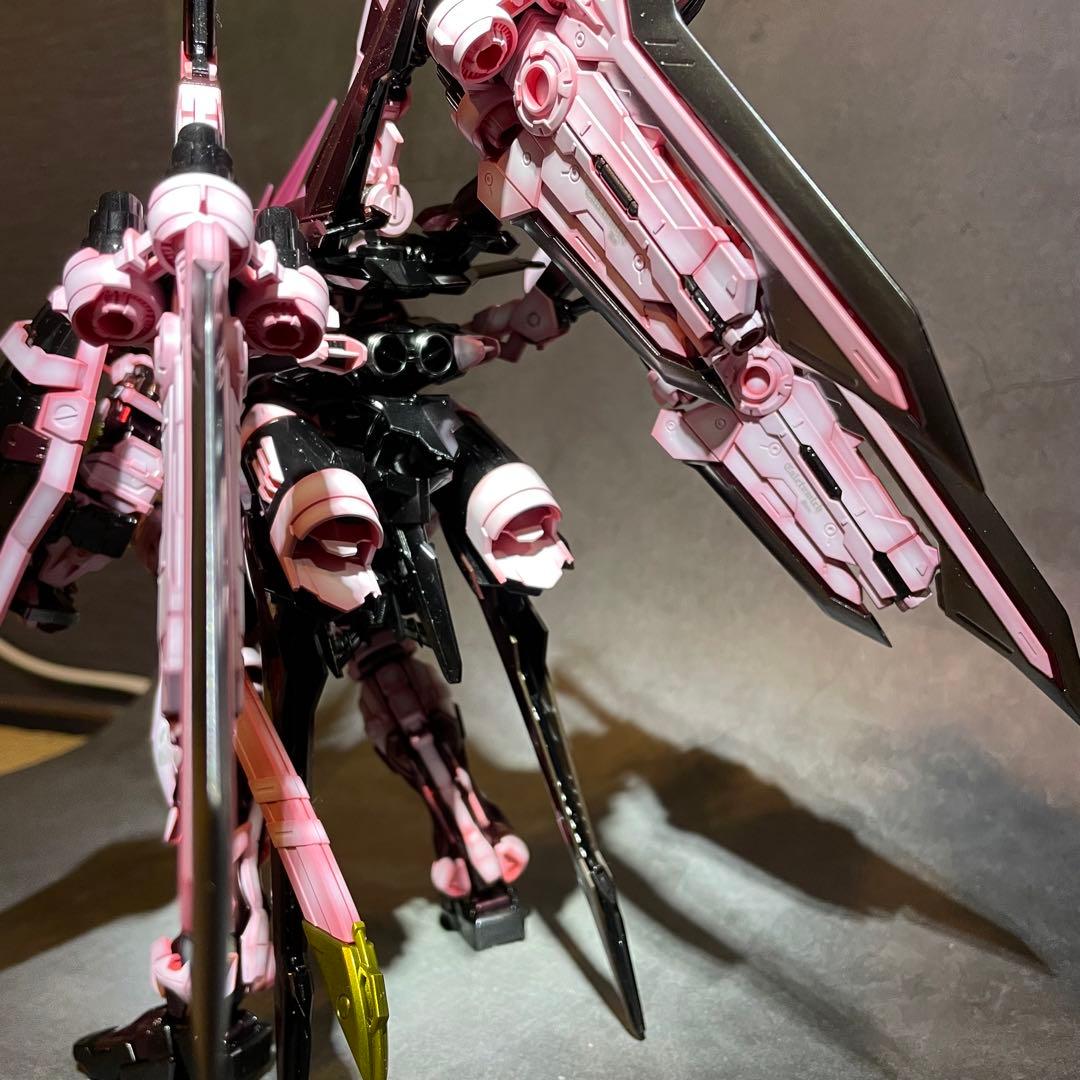ガンプラ MG ガンダムアストレイレッドドラゴン 塗装済完成品
