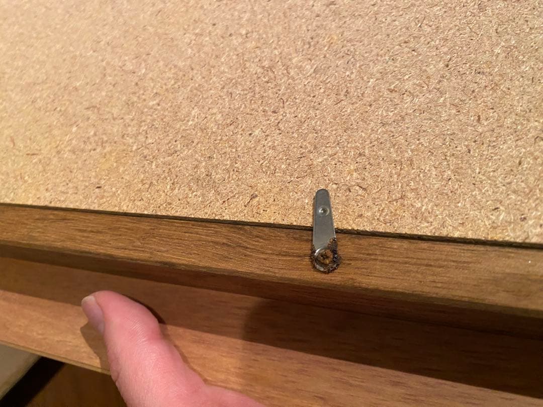 早瀬　遼　油彩　白樺林　絵画