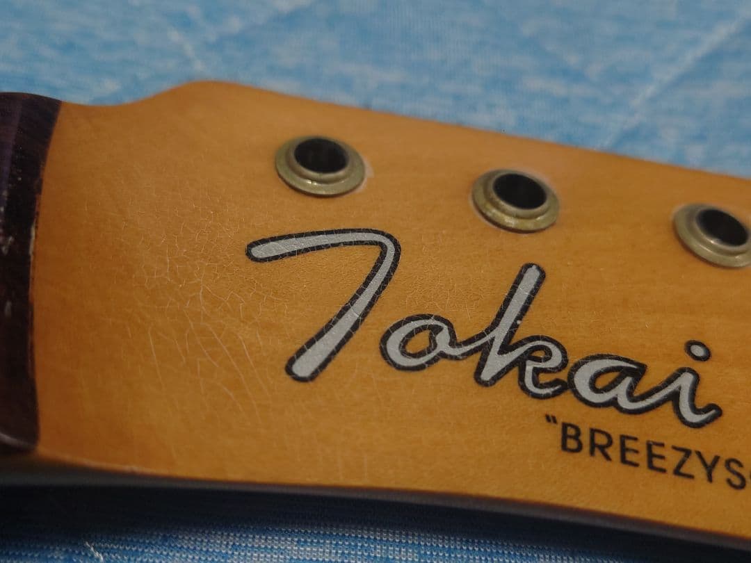 フェルナンデス FSTコンポーネントテレキャスター　オールラッカー