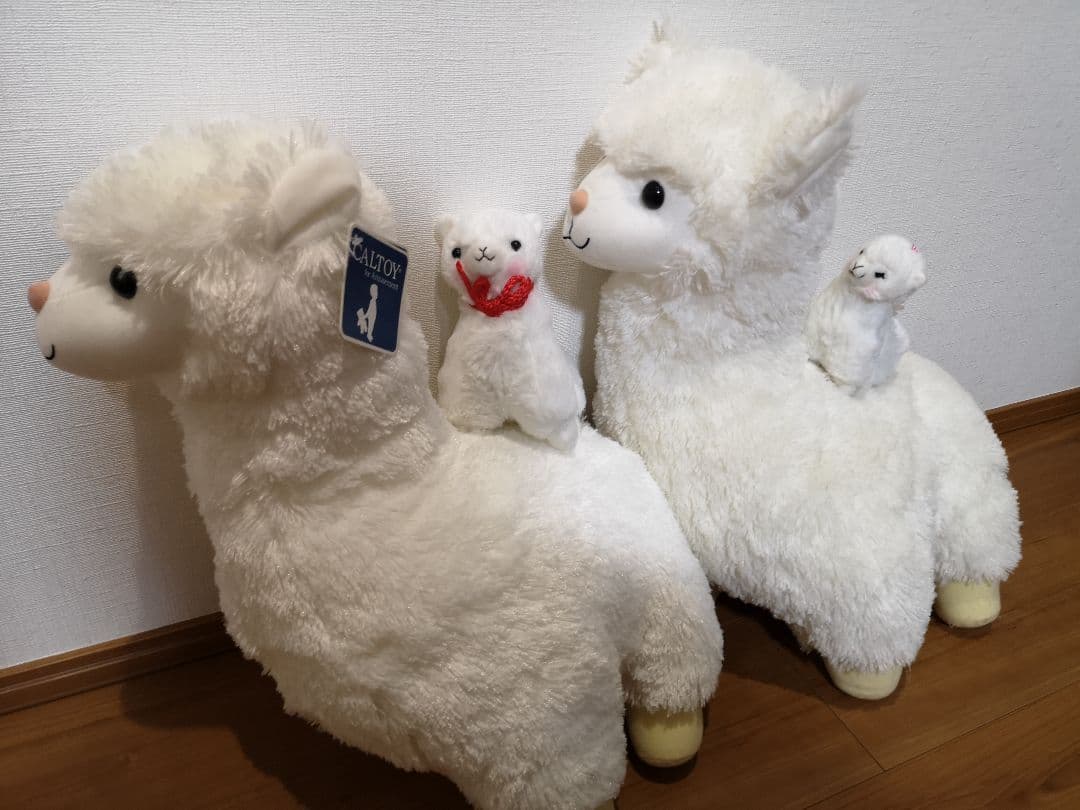 ★アルパカファミリー★