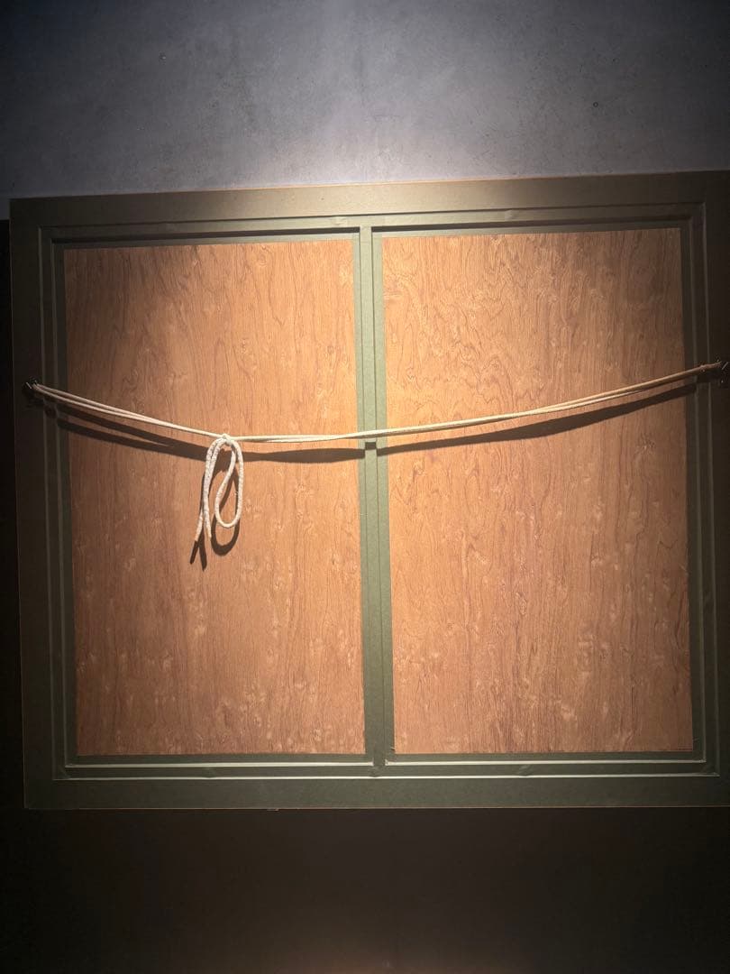 ジェーン・ウースター・スコット【Moonlight Funning】300限定