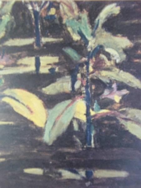 小絲 源太郎/雨後、版上サイン入、限定・高級額装用画より