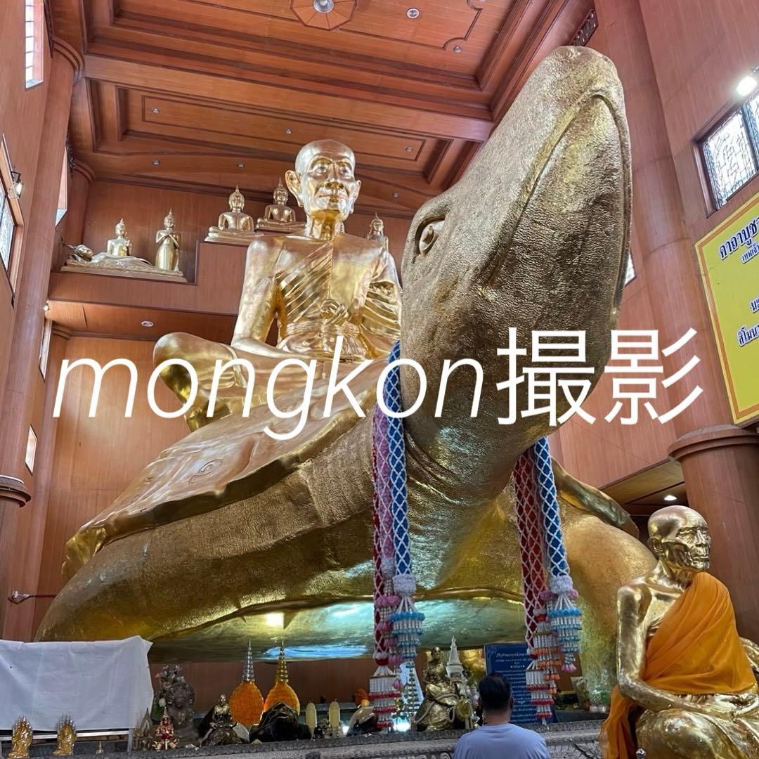 【神龜のご加護】世界尊者『LPリュウ師』超金運到来の神亀　プラクルアン　大　②