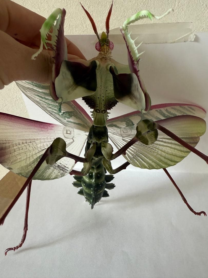 シ*ン様 いきもの大図鑑アドバンス　ニセハナマオウカマキリコンプリート