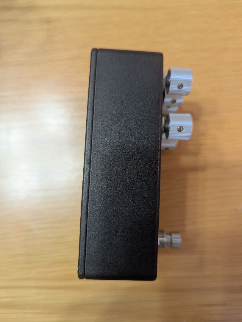 WALRUS AUDIO DEEPSIX 【限定デザイン】