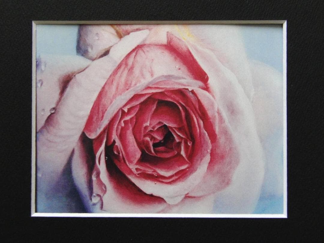 塩崎 敬子「薔薇宇宙2010-2」希少画集より、状態良好、新品高級額装付