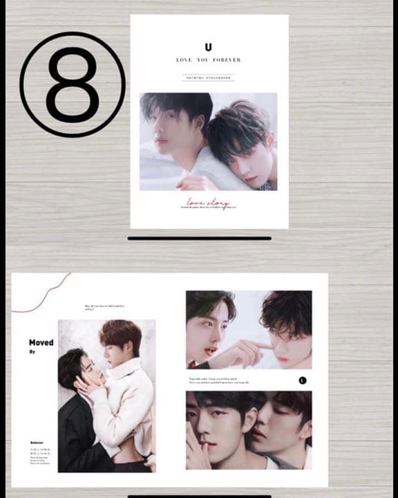 中国ドラマ 陳情令 The Untamed 肖戦 王一博 限定写真集