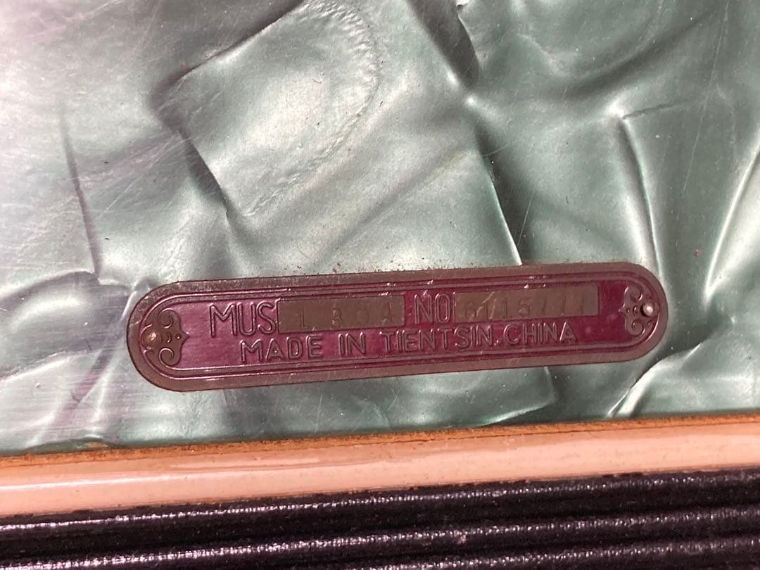 アコーディオン　Parrot 30鍵盤