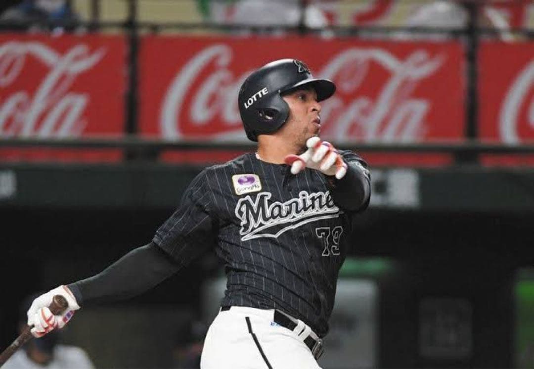 千葉ロッテマリーンズ　マーティン #79　バット NPBマーク 支給品　実使用