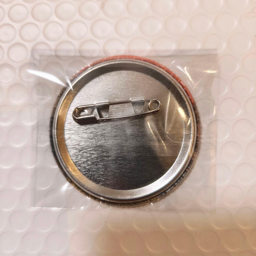 夏目友人帳 パッケージイラスト コレクション缶バッジ　ニャンコ先生　夏目貴志