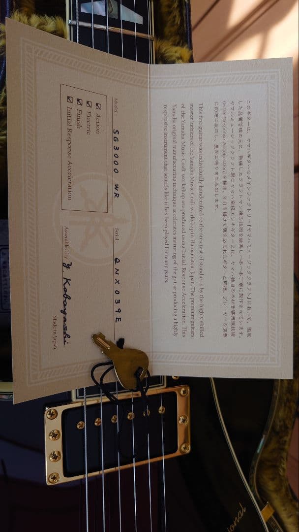 torunaka1024 ヤマハ SG3000 (WR) 07年