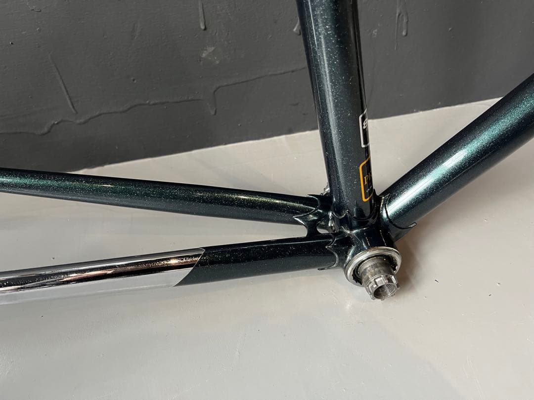 Panasonic パナソニッピスト フレーム njs仕様 競輪