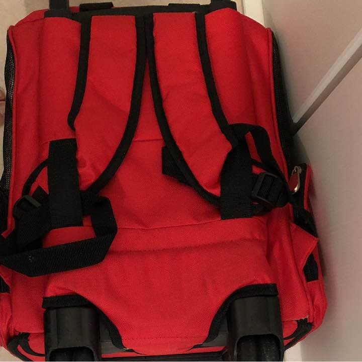 ワン子用キャリーバック、リックにもなります。両サイドポケット大有り。