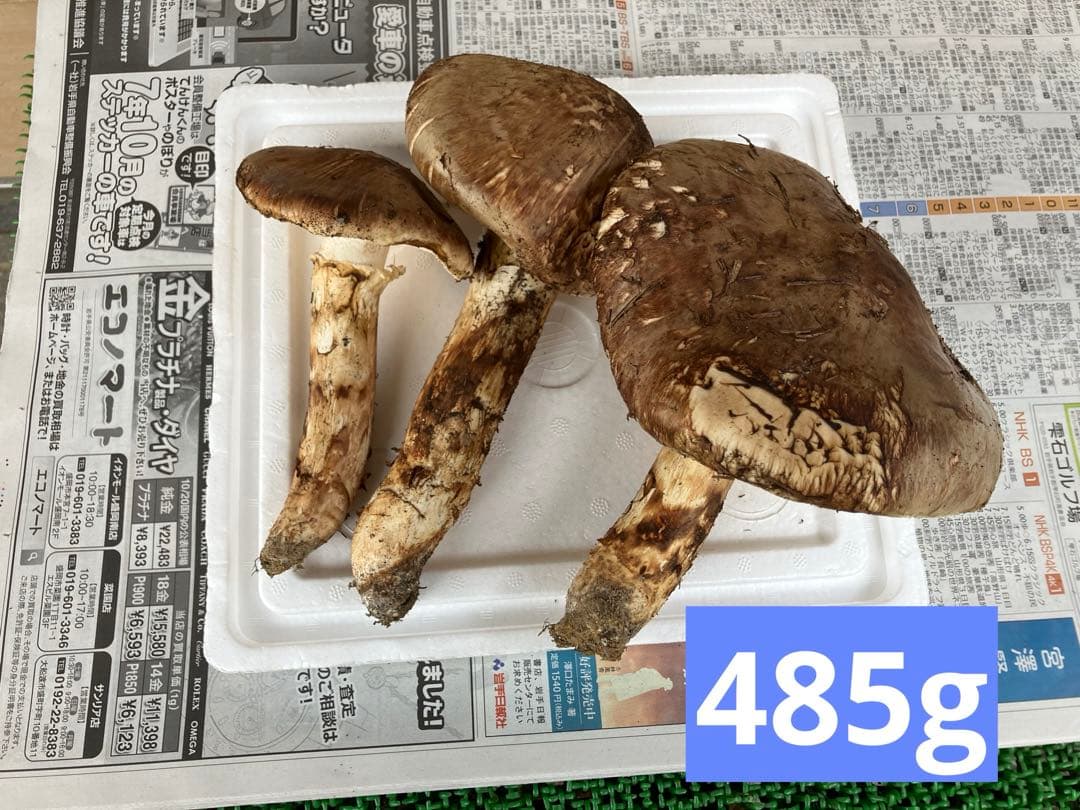 イノッチ様‼️専用　松茸